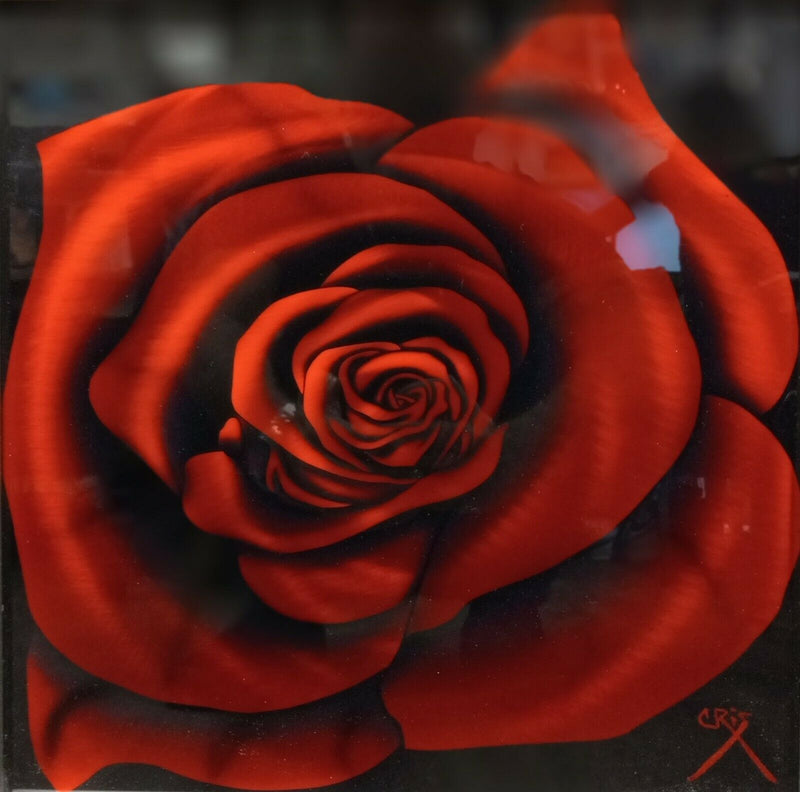 Cris X (Woloszak) - Mini Red Rose Framed Fine Art