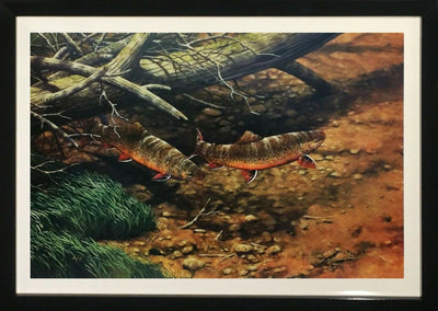 Brush Pile Brookies By Fred W. Thomas - Original Framed Print Hand Signed