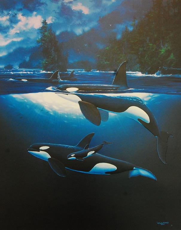Northen Waters by Robert Wyland Serigraph on Paper