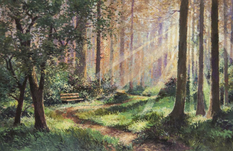 Forest Rest By Andrew Warden Original Framed Print from AP of 25