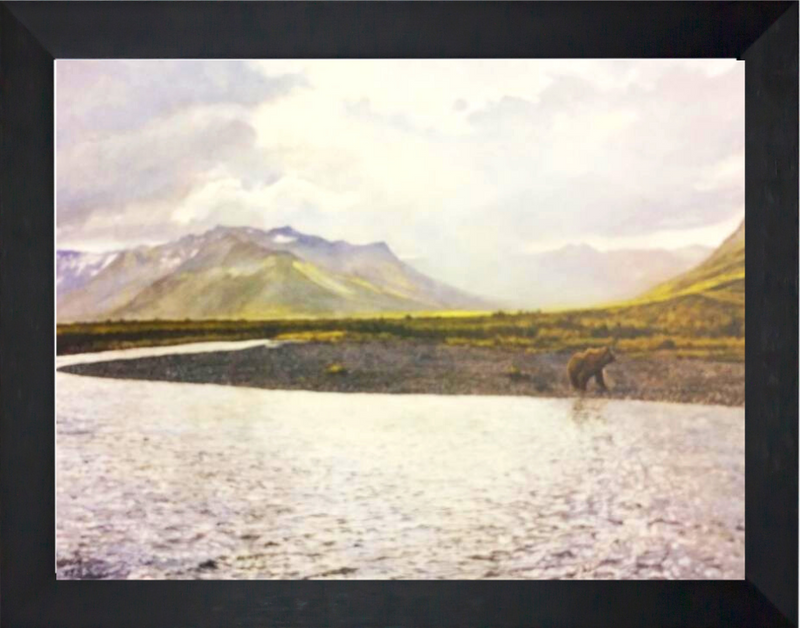Alaskan Solitude by Peter Corvin