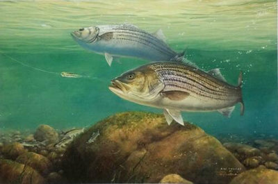 Doubling Up by Fred W. Thomas (Framed Fish Ocean Art)