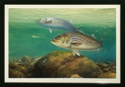 Doubling Up by Fred W. Thomas (Framed Fish Ocean Art)